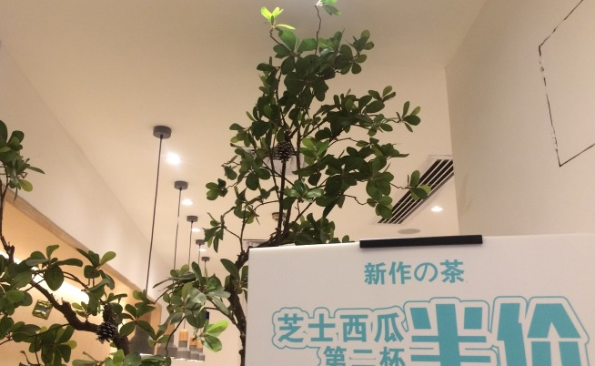 新作の茶丰富的产品系列